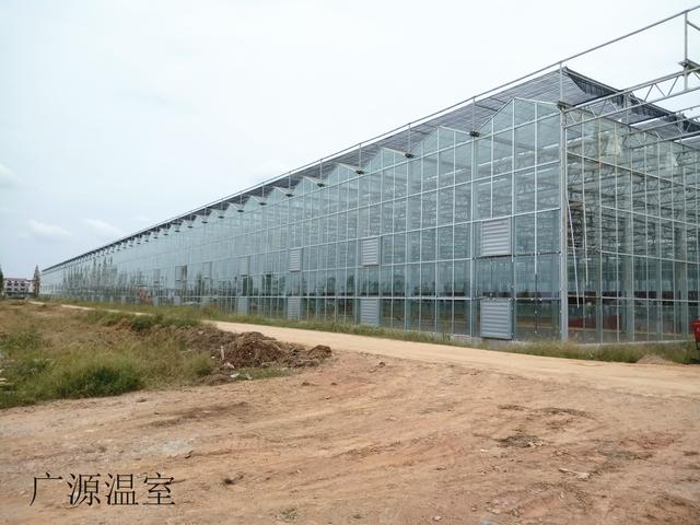 温室大棚有哪些优点,蔬菜大棚和温室大棚有什么不一样