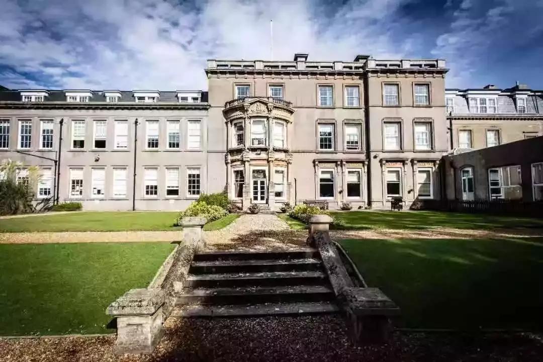 博实乐2017,博实乐实时情况