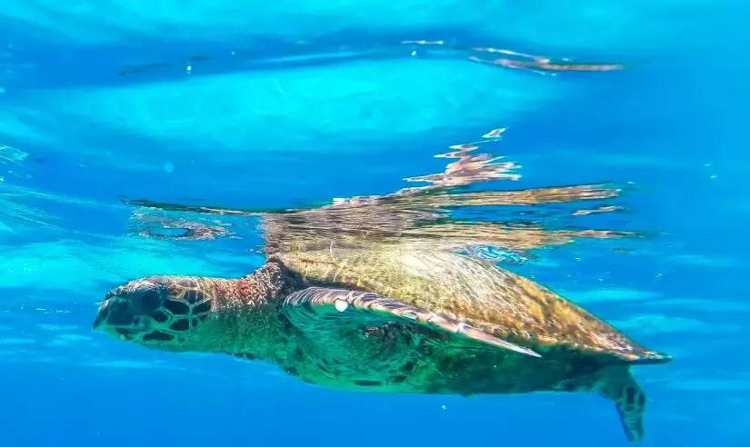 免签的亚洲海滩,六个免签海岛颜值完爆马岱