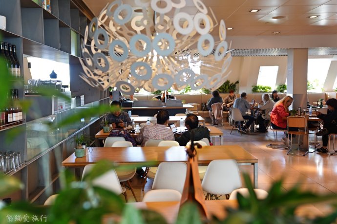 为什么中国人出国旅游买买买,中国人为啥爱去荷兰