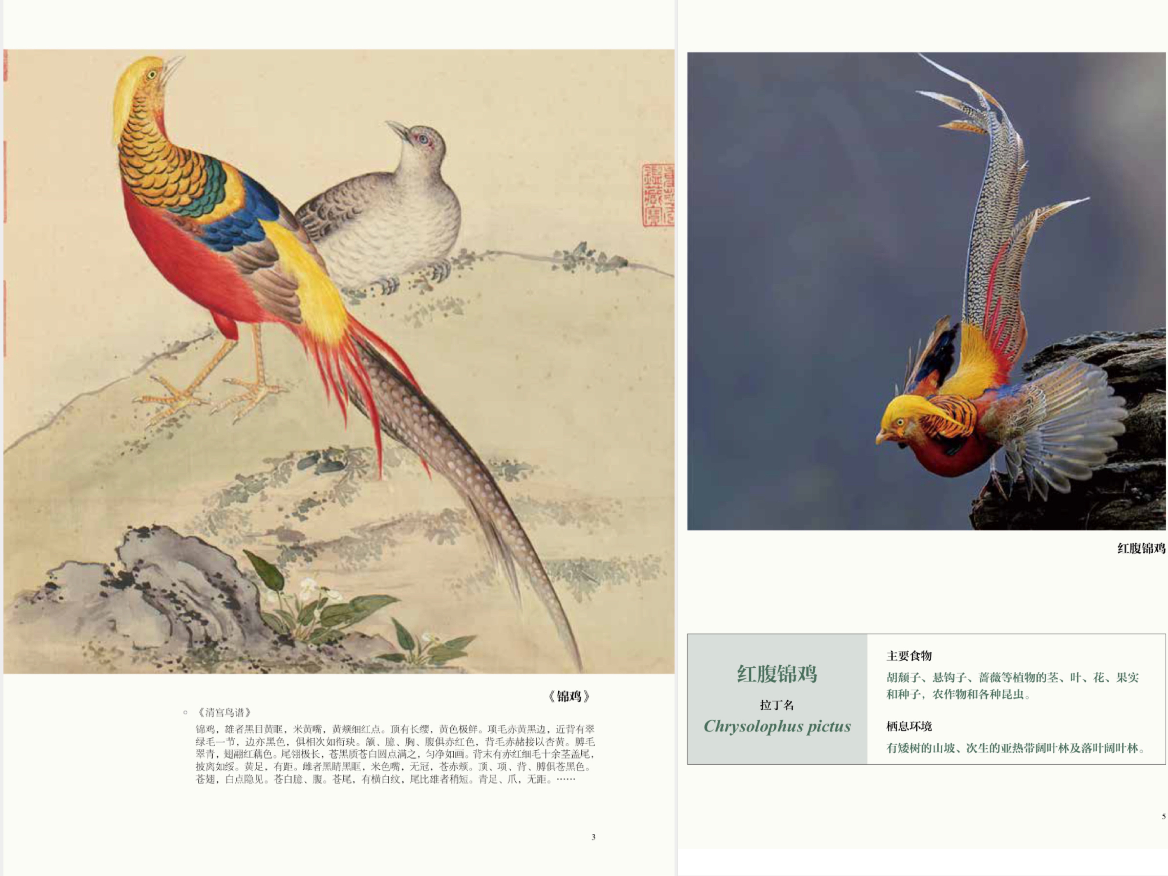 小学生发现11枚恐龙蛋化石,十岁男孩发现恐龙蛋化石