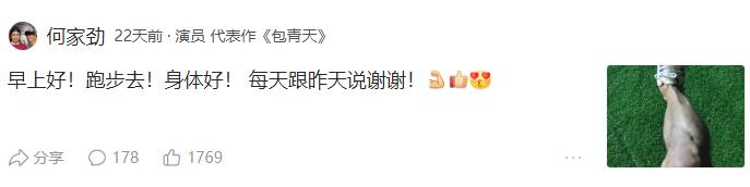 何家劲巅峰时期为何隐退,展大侠被打败