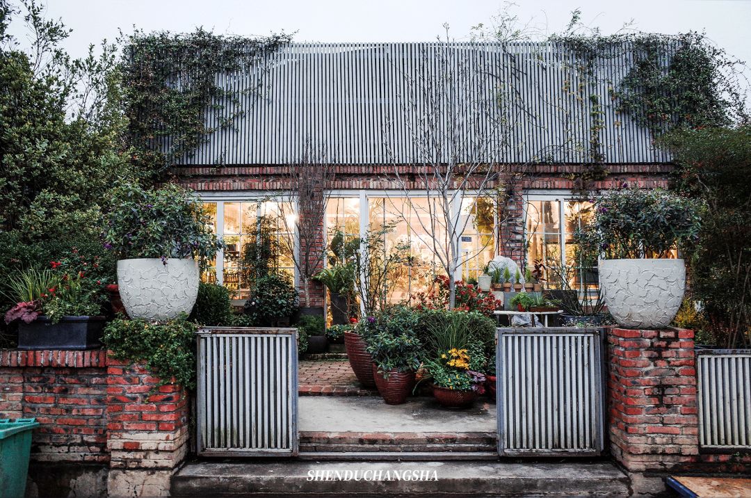 长沙秋季旅游景点推荐,长沙旅游攻略必玩的十大景点推荐