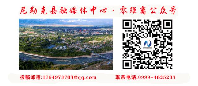 新疆免费网络惠民活动,新疆广电优惠活动