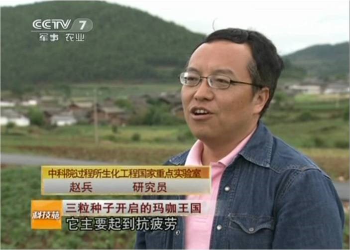 玛咖的服用方法和用量,中科院赵兵教授谈玛咖作用