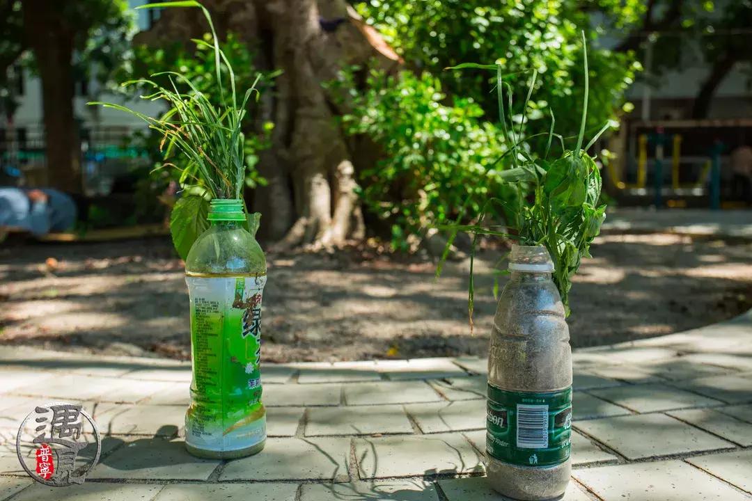 普宁二中操场改造,普宁流沙中华新城旧貌