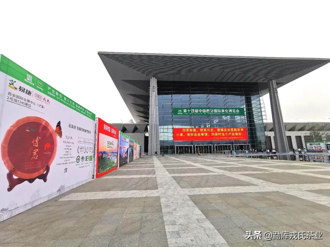 博君熟茶1000克,博君熟茶