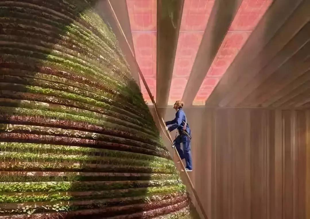 迪拜世博会场馆设计,2020迪拜世博会建筑