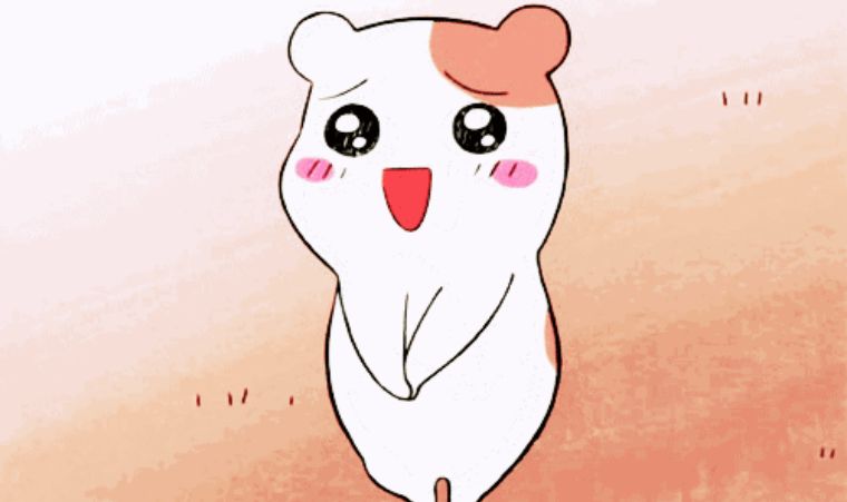 北京郊游去的民宿,北京郊游民宿