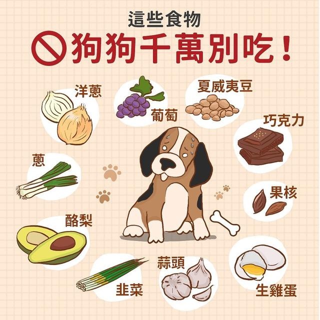 居家狗狗生活训练,日常护理狗狗皮肤不瘙痒