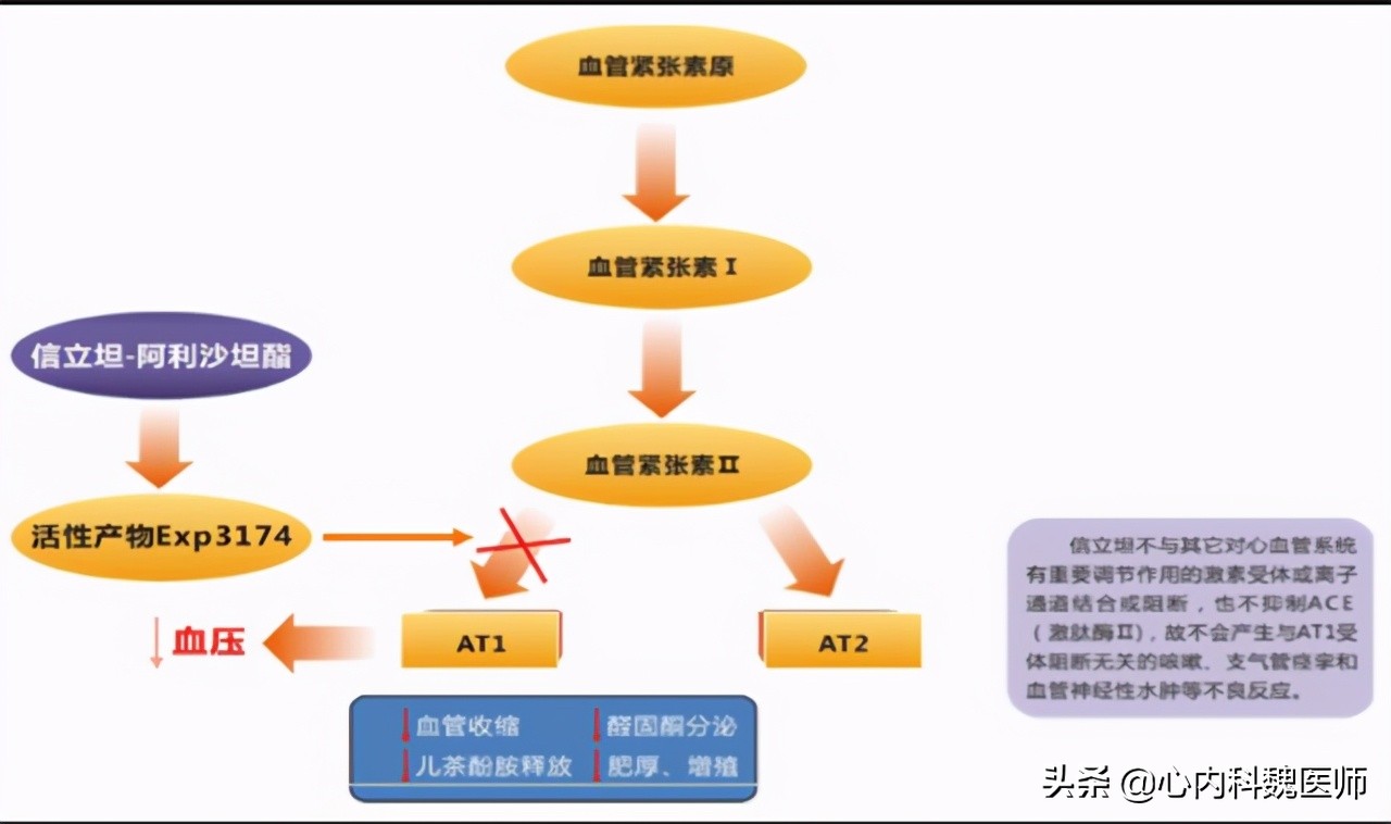 阿利沙坦酯片降尿蛋白效果怎么样,阿利沙坦酯片降血压效果怎么样