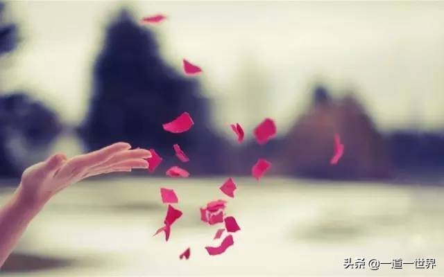 态度决定一切白岩松,白岩松人生就是解决问题的过程