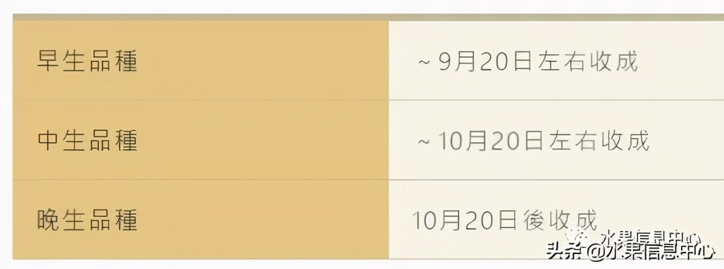 日本苹果种植现状,为什么日本苹果质量比中国的好