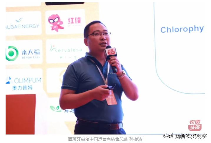 海南哈密瓜大市场,海南哈密瓜市场前景