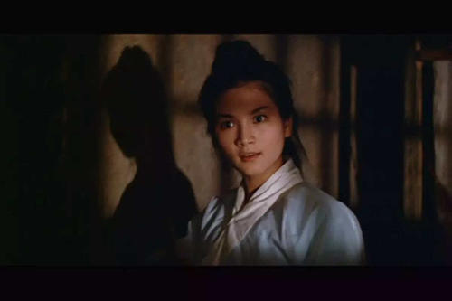 华夫人郑佩佩,郑佩佩和华夫人