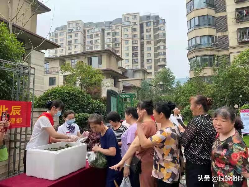 我们的节日端午节作文400字,我们的节日端午节活动总结