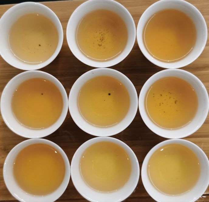 虎山行茶评,虎山行普洱