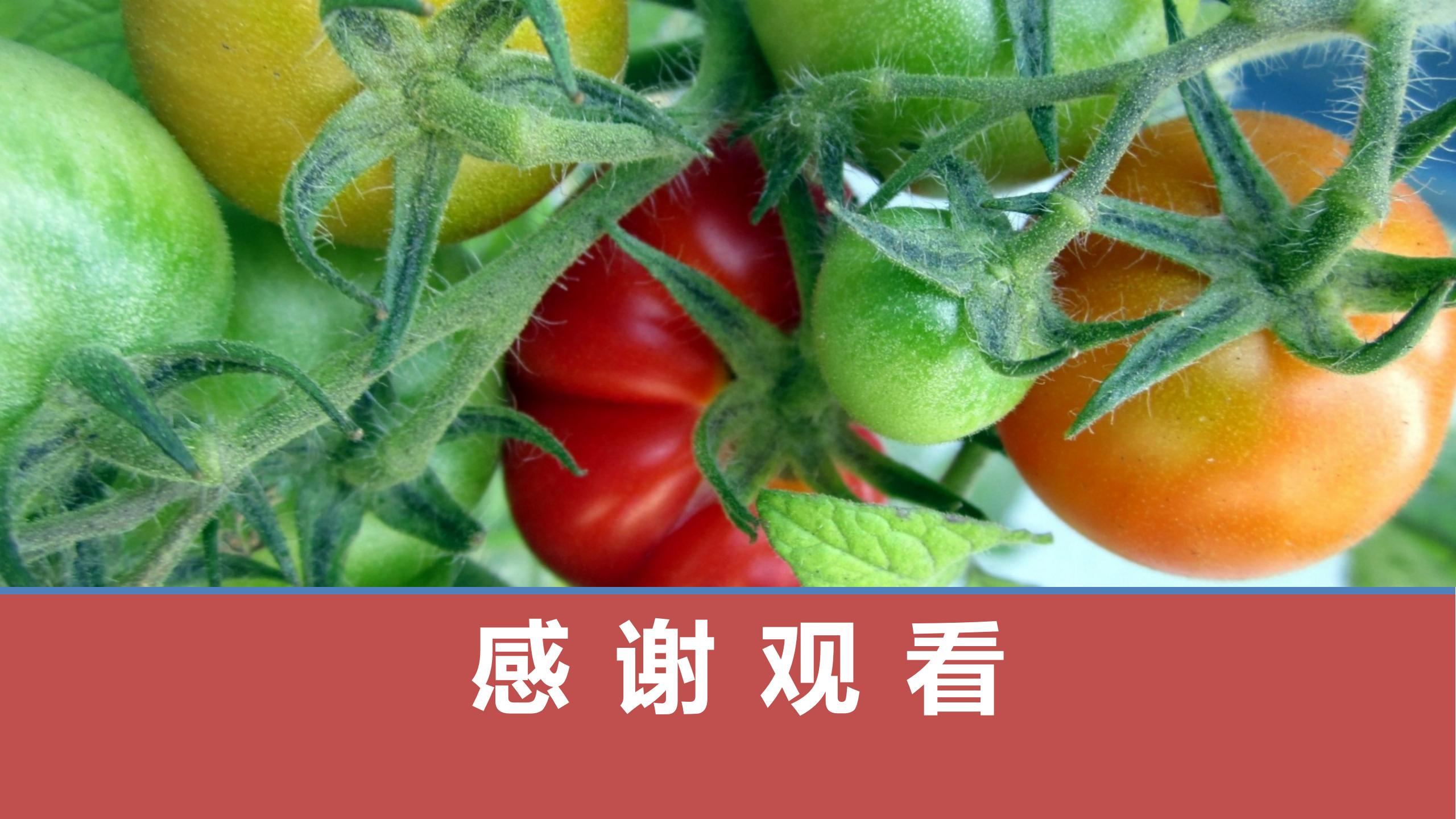 瘙痒中医辨证,中医止痒有妙招