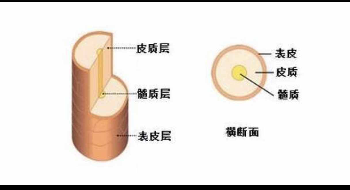 头发干得特别慢是为什么,头发干燥长得慢怎么回事