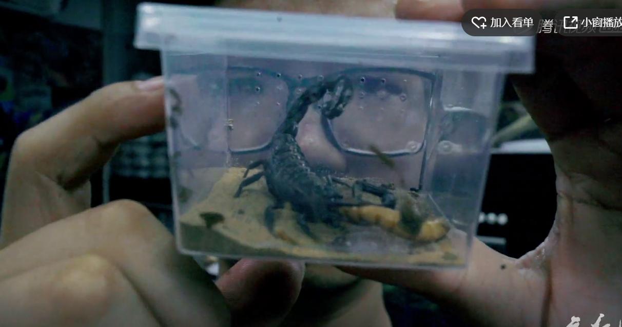 腾讯最新纪录片，记录人与毒宠的相爱相杀，堪称开年第一！