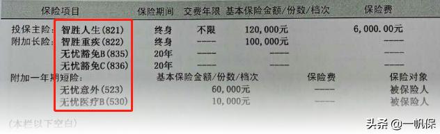 平安智胜人生与智盈人生的区别,智盈人生和智胜人生一句话总结