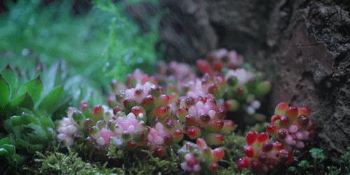 用旧桌子自制沙发,自己动手将桌子改造成流觞曲水桌