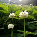 你能搞定二维码吗？2分钟包教包会|#全民求知季