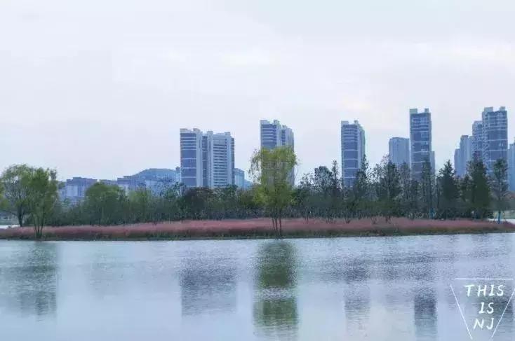 南京人少景美的免费公园,太全了全国旅游简图