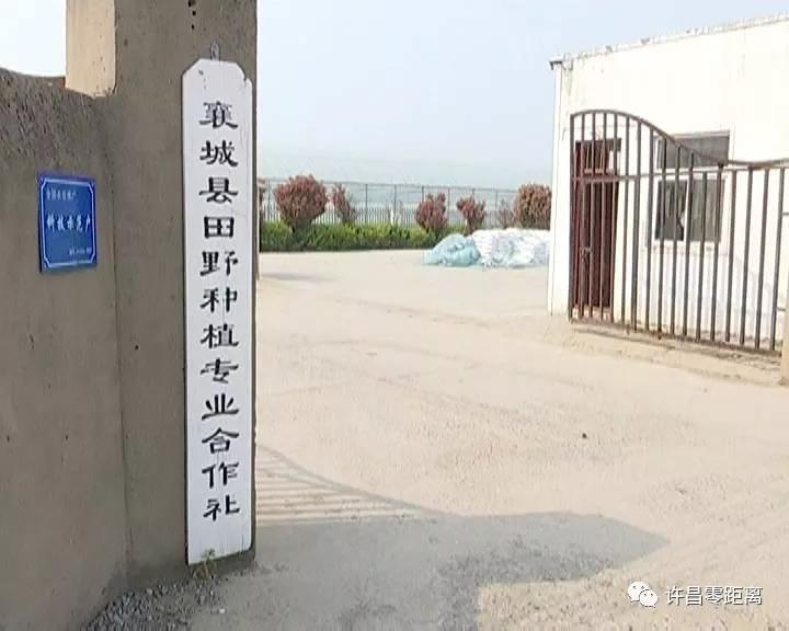 走进*草烟**文化之乡——襄城县