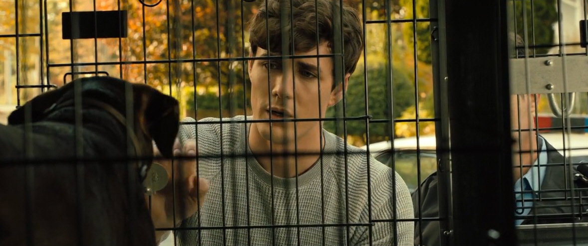 电影故事:一条小狗穿越四百英里回家的故事