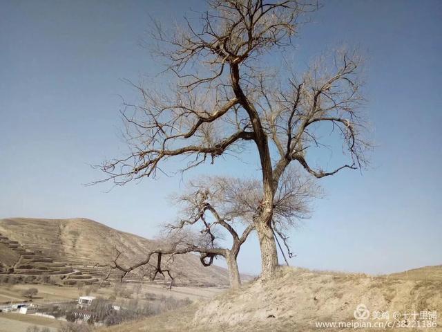 大美汨罗我的家,大美宝丰我的家