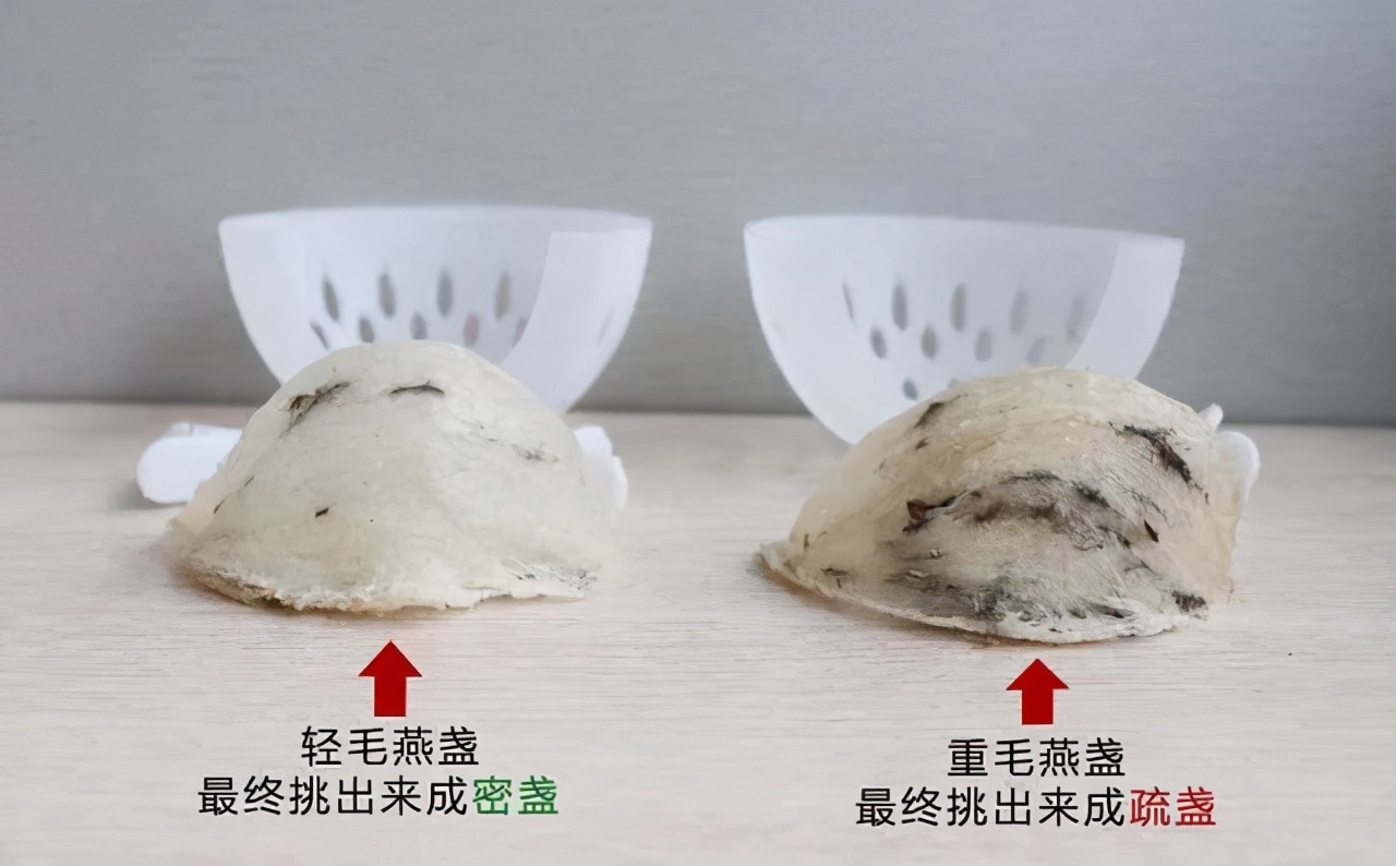 燕窝哪种好,燕窝选什么样的最划算