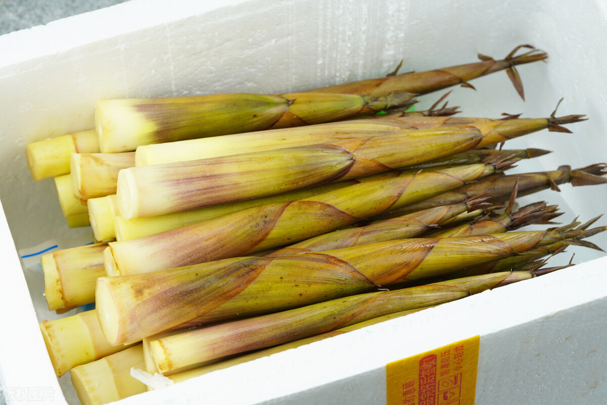 笋煮花生米笋干是不是很硬,笋干泡了直接炒