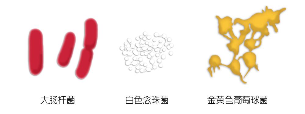 探索身上穿，让菌无从下手