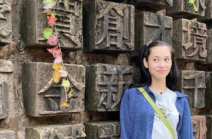 水原希子绯闻事件,水原希子红毯搞笑凹造型