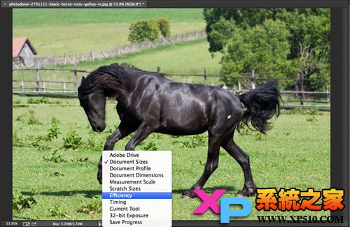 adobereader停止工作怎么解决,ps打开文件太多卡死怎么恢复