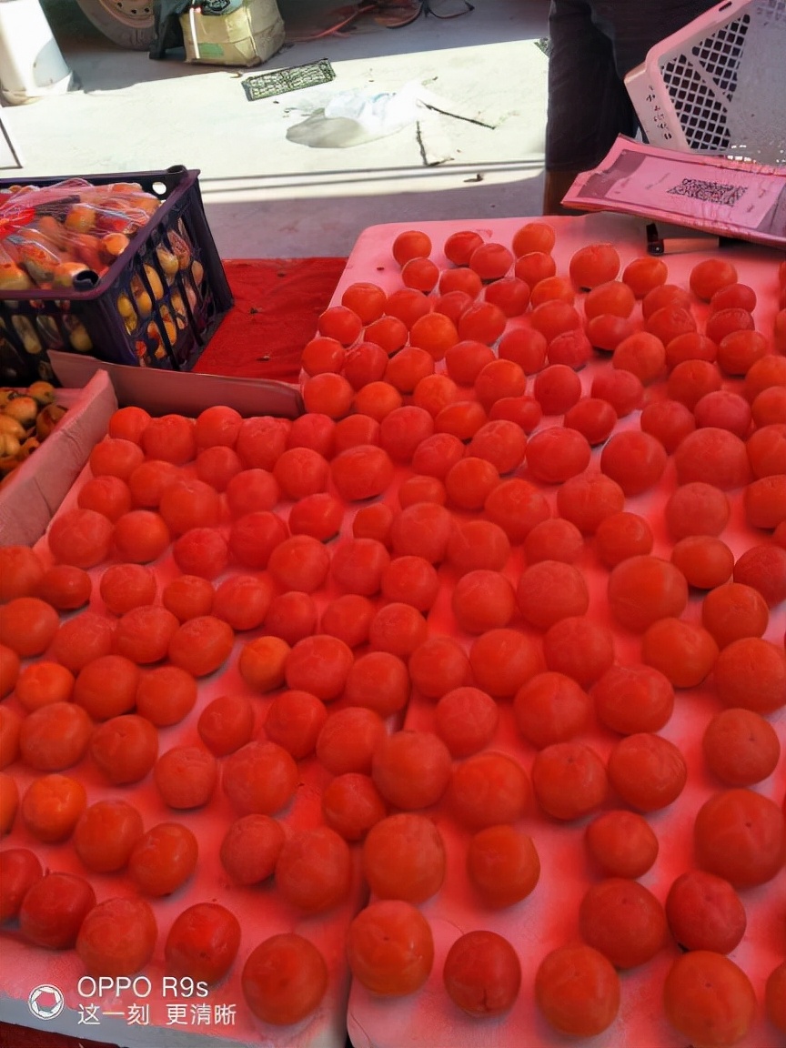 四川姑娘在新疆的生活日常,四川姑娘在南疆记录美好生活