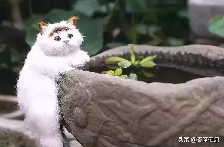 清热去暑的最佳方法,暑湿病邪是如何引起的