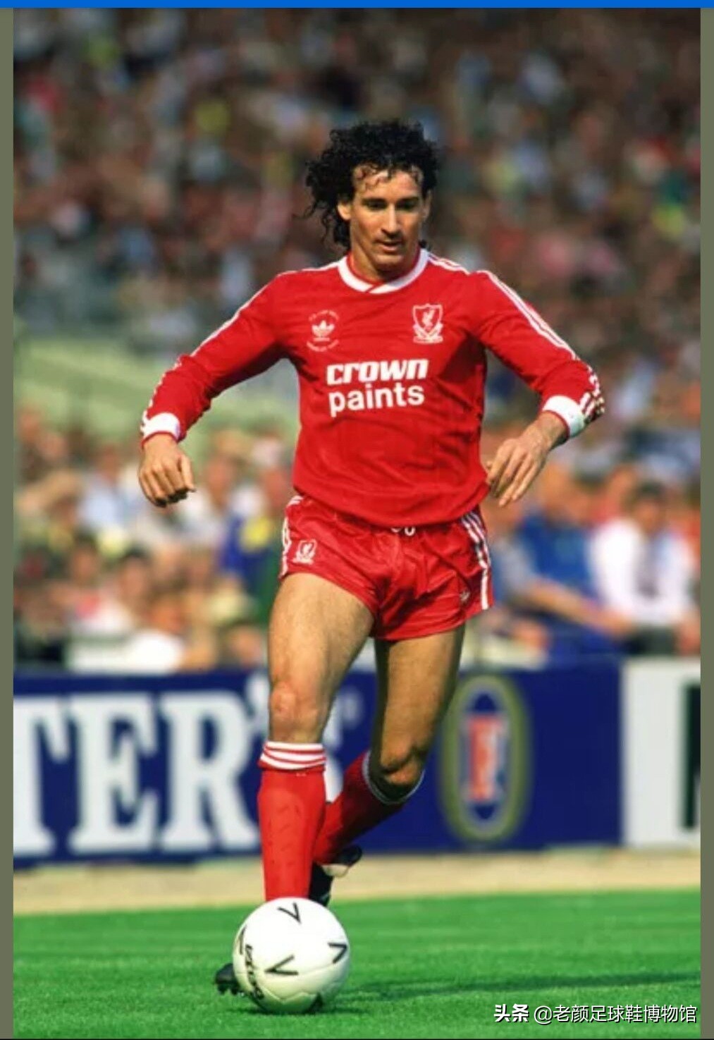 猎鹰人足球鞋,猎鹰儿童足球鞋