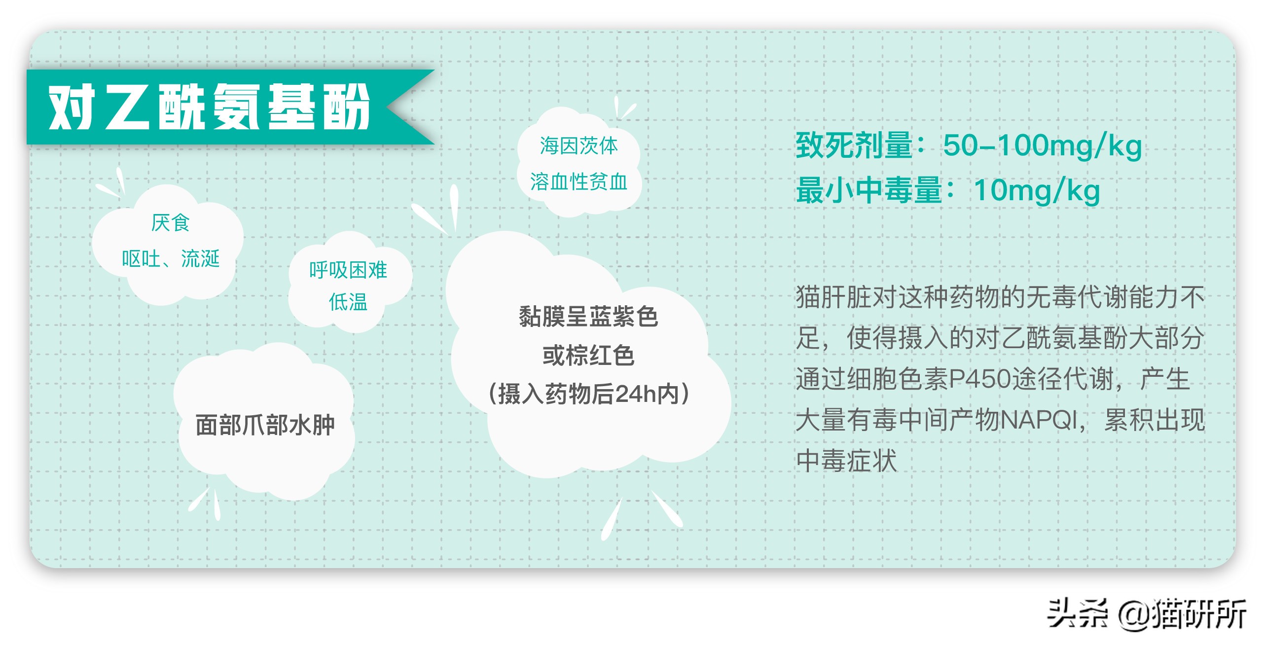 给猫粮投毒辟谣,猫吃人用感冒药吗