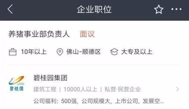 大佬们都是开始养猪了吗,各界大佬纷纷入局养猪