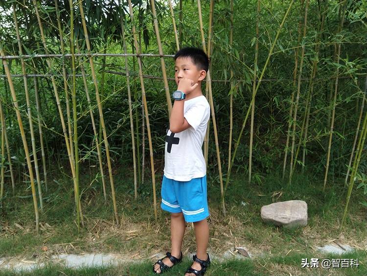 360儿童手表深度测评,360电话手表p1pro和p2对比