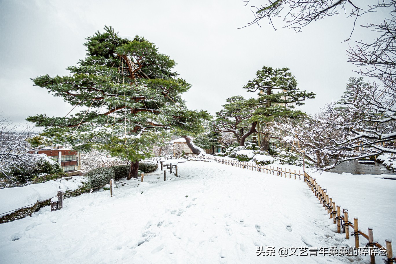 冬季日本的自驾游攻略,冬日游日本名古屋攻略