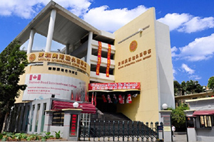 广东艺术纳入中考成绩是真的吗,2020年中考广东艺术