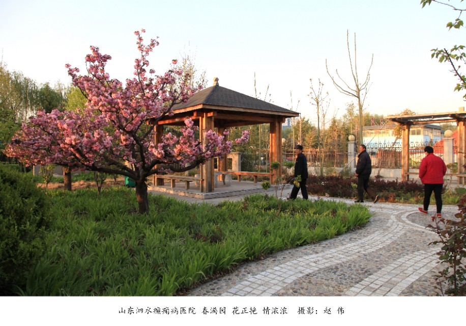 山东泗水癫痫病医院花香四季情暖人间——赵伟摄影、撰文