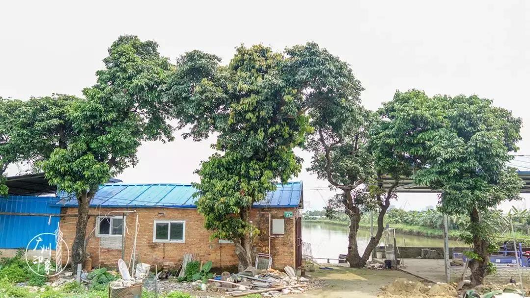 广州隐世峡谷游玩攻略,广州要坐船才能登的小岛