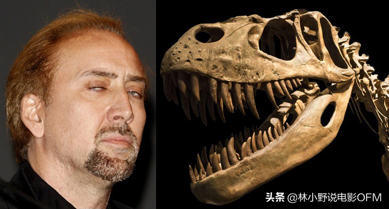 尼古拉斯凯奇凶宅,盘点尼古拉斯凯奇名场面