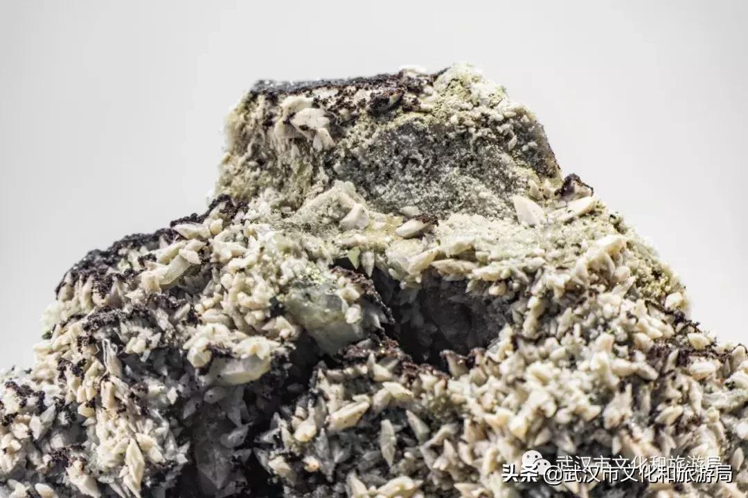 武汉奇特博物馆,武汉奇妙博物馆