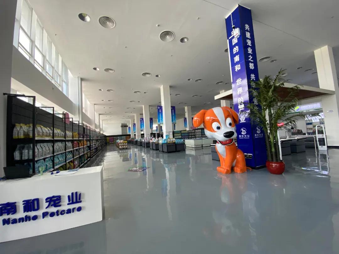 王宝强为什么会受到家乡人的尊敬,所有铲屎官