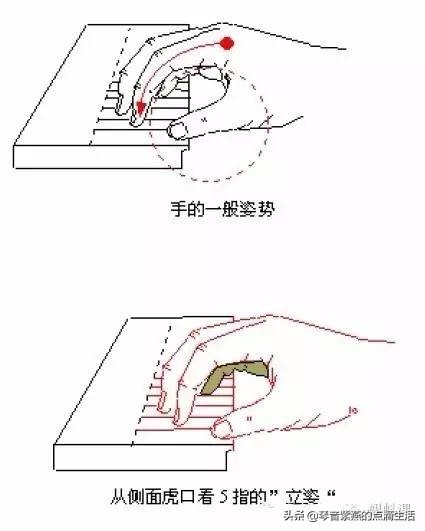 电子琴教学入门弹奏一首母亲,电子琴初学入门教程母亲